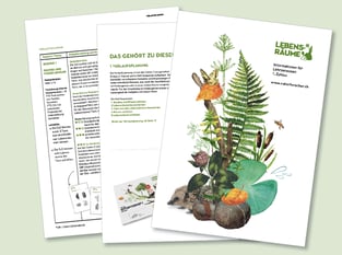 lehrmittel-lebensraeume-naturforscher-lehrpersonen-kommentar