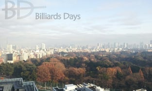 新宿高島屋からの眺望。手前の森は御苑