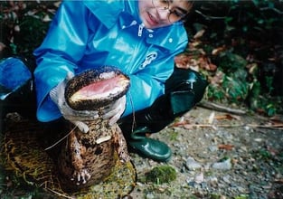 半分に裂けたような大きな口