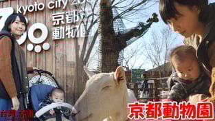 京都市動物園