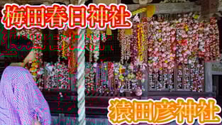 【日本寺廟遊】京都旅游攻略  梅田春日神社・猿田彦神社