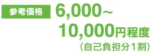 6000〜10000円程度