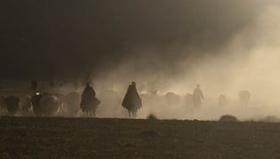 Kulturreise, Darjeeling, Sikkim und Bhutan, Gangtok und Paro