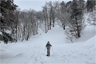 白の森を歩いて静かな湖畔に向かう。色と音が抑えられた空間で自分を感じる時間。