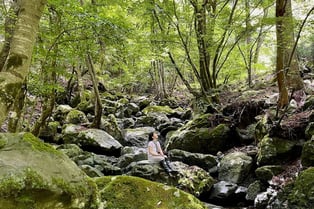 沢の岩に一人で座るー森の中のマインドフルネスの体感