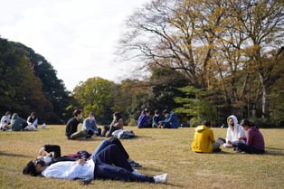 自然の芝生で仲間と寝そべり、リラックスして対話の時間を過ごす場面