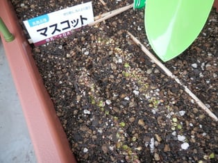 ３日目のダイちゃんの様子