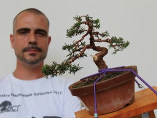 Sven Tona - Bonsai Club Ticino - Menzione di merito
