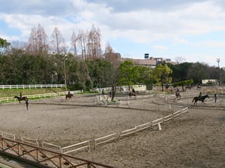 服部緑地乗馬センター 馬場