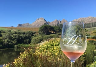 Private wine tour, Stellenbosch, Cape Winelands 