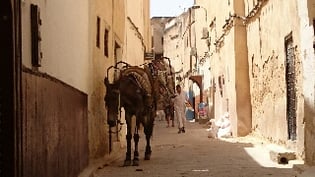 フェズ旧市街。迷路のような街