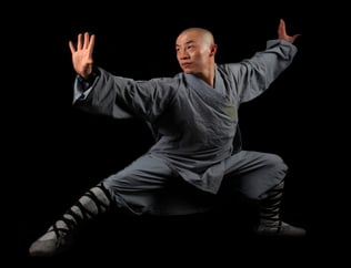 Kung Fu Tenerife, Wushu Tenerife, Kung Fu La Laguna, Wushu La Laguna, Kung Fu Canarias, Wushu Canarias