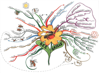 マインドマップ「Bee Skill」