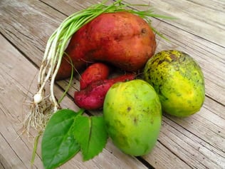 Wir dürfen uns aus dem Garten bedienen. Heute gibt es u.a. Süsskartoffeln, Frühlingszwiebeln und Mangos zum Dessert.
