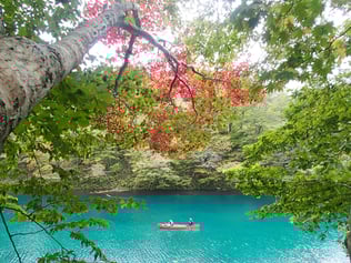 画像は@Pressより転載。