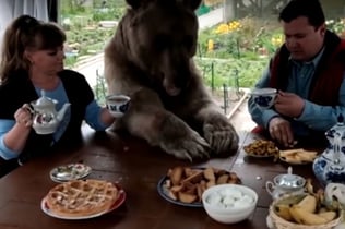 画像はIRORIOより転載。