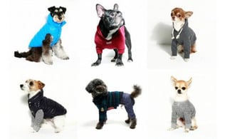 画像はISUTAより転載。