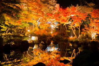 画像はFind Travelより転載。