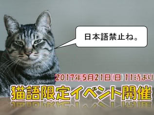 画像は公式サイトより転載。