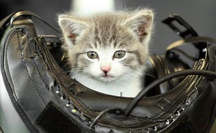 画像はISUTAより転載。