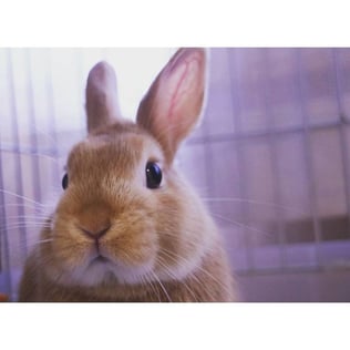 画像はRETRIPより転載。