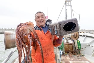 画像は北海道ファンマガジンより転載。