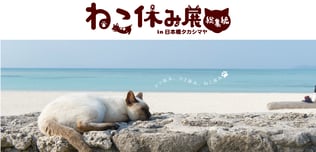 画像はオフィシャルサイトより転載。