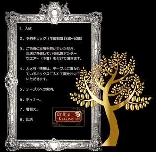 画像は公式サイトより転載。