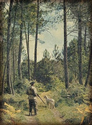 orthe landes peyrehorade aquitaine chasse, bois, foret, veneur, curée, gibier, sorde hastingues cagnotte gave adour saumon chalosse abbaye