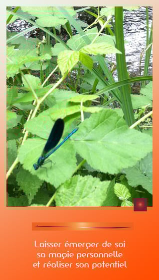 Jeu de Beauté © Création Caroline SIMON