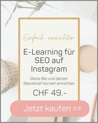 Eleraning für seo auf Instagram. Wie korrekt das Account einrichten mit Benutzername, Bio, Steckbrief um gefunden zu werden auf Instagram.