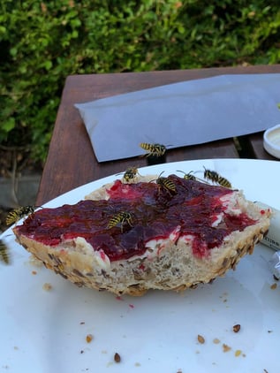 Foto: (Frank Geilen)