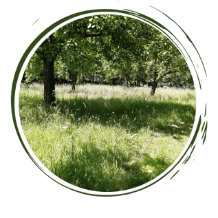 Seminare, Bewusstseinswandel, Bewusstsein, Achtsamkeit, Natur, Liebe, Wildnis, Systemwandel