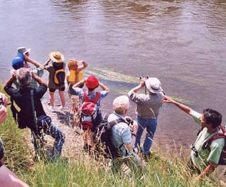 Observer la nature au camping de l'Etang de Bazange
