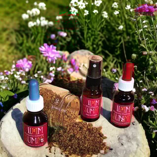 Bienenprodukte Imkerei im Holz Bienen Didix