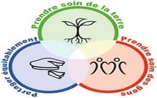 Constellations systémiques, permaculture, vision holistique