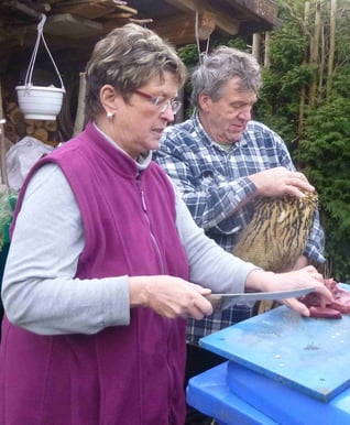 Erste Uhu Fütterung durch Gabi und Bernd Lorenz
