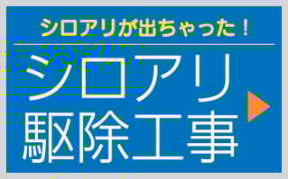 シロアリ駆除工事
