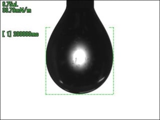 測定およそ5分後の懸滴画像