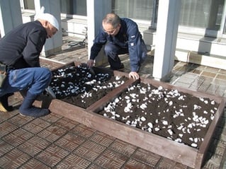 芝土とスーパーソルを混ぜる
