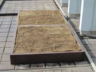 フエルトの上に芝生を置く