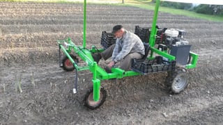 Erntefahrzeug für die Grünspargelernte, Pflegefahrzeug für Beetkulturen