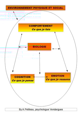 Modèle interractif expliquant les 3 niveaux d'intervention des TCC : comportemental, cognitif et émotionnel. Petiteau, psychologue Baillargues