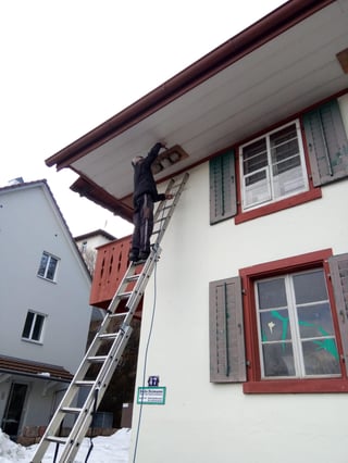 Schwalbennester-Reinigung