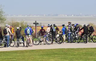 Crédits photo : N. Bryant