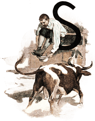 orthe, landes, aquitaine, peyrehorade, course landaise, ganaderia, sauteur, cordier, talanquère, vache