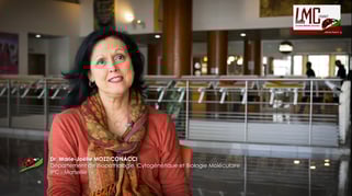Video LMC France Interprétation du caryotype, biologie moléculaire et LMC Mozziconacci IPC leucemie myeloide chronique