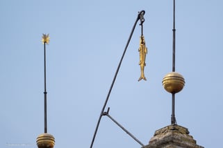 Hering an der Giebelspitzen des Rathauses