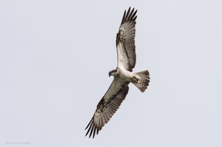 Mit dem Camper an der Oder und Neiße