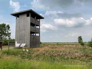 Wohnmobil in Diepholzer Moorniederung 